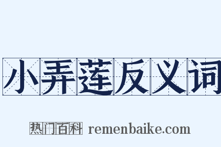 小弄莲反义词是什么意思的图片